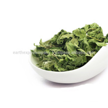 Wholesaler of Freeze Dried Spearmint Leaves